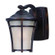 Balboa DC LED E26 LED Outdoor Wall Sconce in Copper Oxide (16|55502LACO)