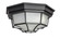 Crown Hill LED E26 LED Flush Mount in Black (16|67920BK)