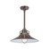 R Series One Light Pendant in Architectural Bronze (59|RRRS18-ABR)