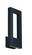 Twilight LED Outdoor Wall Sconce in Black (281|WS-W5516-BK)