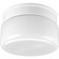 White Glass Two Light Flush Mount in White (54|P3518-30)