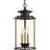 Squire Three Light Hanging Lantern in Antique Bronze (54|P550012-020)