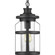 Haslett One Light Hanging Lantern in Black (54|P550031-031)