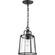 Benton Harbor One Light Hanging Lantern in Black (54|P550065-031)