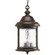 Ashmore Three Light Hanging Lantern in Antique Bronze (54|P5550-20)