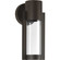 Z-1030 Led LED Wall Lantern in Antique Bronze (54|P560051-020-30)