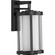 Irondale One Light Wall Lantern in Black (54|P560149-031)