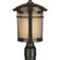 Wish One Light Post Lantern in Antique Bronze (54|P6424-20)