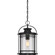 Booker One Light Outdoor Hanging Lantern in Mystic Black (10|BKR1910K)