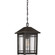 Cedar Point One Light Outdoor Hanging Lantern in Palladian Bronze (10|CPT1910PN)