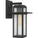 Randall One Light Outdoor Wall Mount in Mottled Black (10|RDL8409MB)