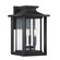Wakefield Three Light Outdoor Wall Lantern in Earth Black (10|WKF8411EK)