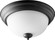 3063 Ceiling Mounts Two Light Ceiling Mount in Textured Black|Satin Opal (19|3063-13-69)