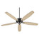 Breeze 60'' 60''Ceiling Fan in Textured Black (19|7060-69)