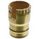 Shell With Paper Liner in Polished Brass (230|80-1442)