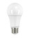 Light Bulb in Frost (230|S29629)