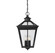 Ellijay Four Light Outdoor Hanging Lantern in Black (51|5-145-BK)