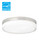 Cirque Two Light Flush Mount in Satin Nickel (182|700CQLS)