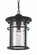 Avalon One Light Hanging Lantern in Black (110|40385 BK)