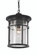 Avalon One Light Hanging Lantern in Black (110|40386 BK)