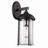 Blues One Light Wall Lantern in Black /Brushed Nickel (110|50232 BK)