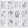 Contemporary Botanicals Framed Prints, Set/12 in Black And White (52|33713)
