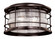 Hyannis Two Light Outdoor Flush Mount in Burnished Bronze (63|T0166)