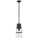 Robinson One Light Pendant in Bronze (268|TOB 5752BZ-CG)