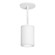 Tube Arch LED Pendant in White (34|DS-PD06-N27-WT)