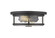 Savannah Two Light Flush Mount in Bronze (224|462F11-BRZ)