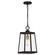 Amberly Grove One Light Outdoor Hanging Lantern in Western Bronze (10|AMBL1908WT)
