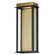 Rincon LED Outdoor Wall Sconce in Black / Gold (16|50754BKGLD)