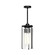 Belmont One Light Pendant in Clear Water Glass/Matte Black (452|PD536005MBWC)