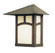 Evergreen One Light Wall Mount in Raw Copper (37|EW-7EOF-RC)