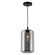 Glass One Light Mini Pendant in Black (401|5553P7-Smoke)