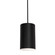 Tyke One Light Pendant in Black (162|TYKP04MBBK)