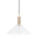 Besa One Light Pendant in Aged Brass (428|H622701L-AGB)