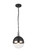 Torino One Light Pendant in Brushed Nickel (423|C61801BNCL)