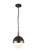 Torino One Light Pendant in Aged Gold Brass (423|C61801AGOP)