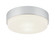 Quintz Two Light Ceiling Mount in Chrome (423|M13202CH)