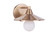 Isaac One Light Wall Sconce in Satin Brass (46|12508SB1)