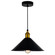 Brave One Light Mini Pendant in Black (401|9605P10-1-101-B)