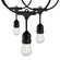 LED String Light in Black (230|S8037)