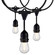 LED String Light in Black (230|S8030)