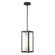 Adler One Light Outdoor Hanging Lantern in Black (110|51464 BK)