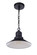 Singleton One Light Outdoor Pendant in Midnight (46|ZA5401-MN)