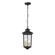 Eldrick Two Light Outdoor Hanging Lantern in Powder Coat Black (59|4643-PBK)