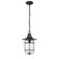 One Light Outdoor Hanging Lantern in Powder Coated Black (59|2932-PBK)