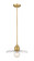 Paloma One Light Pendant in Olde Brass (224|821P14-OBR)