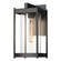 Cela One Light Outdoor Wall Sconce in Coastal Oil Rubbed Bronze (39|302021-SKT-14-ZM0730)